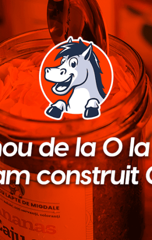 De la 0 la €700k Cum am construit Ohvăz